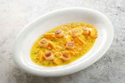 Курильский гребешок