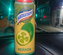 Натахтари Фейхоа