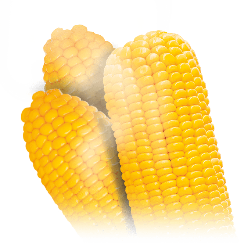 Горячая кукуруза