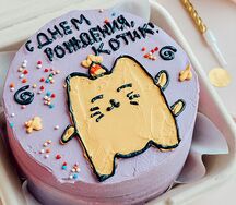 Бенто-торт Котик (Любая ваша надпись)
